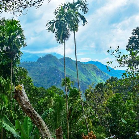 Dawn View Home Stay Ella Rom bilde