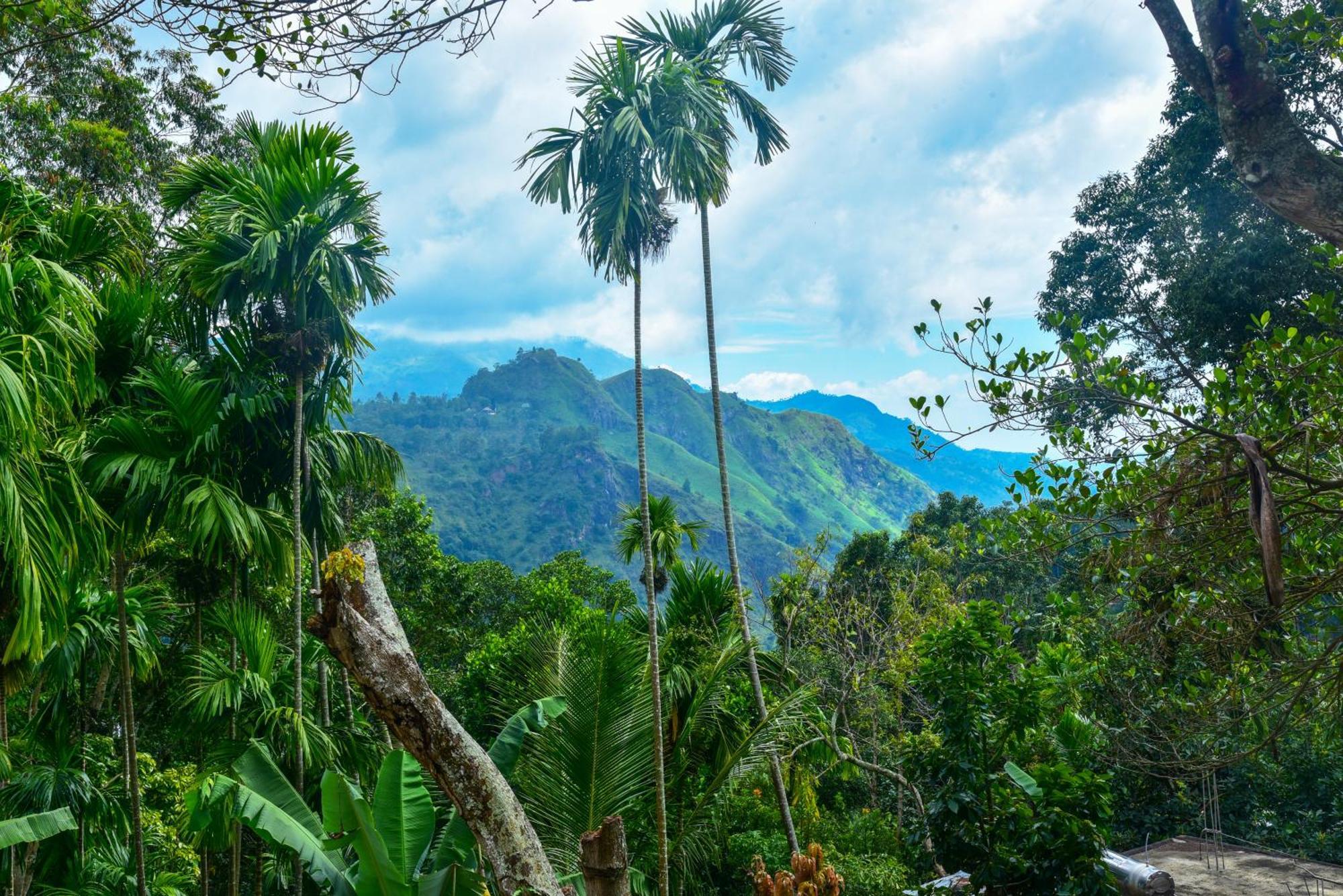 Dawn View Home Stay Ella Rom bilde